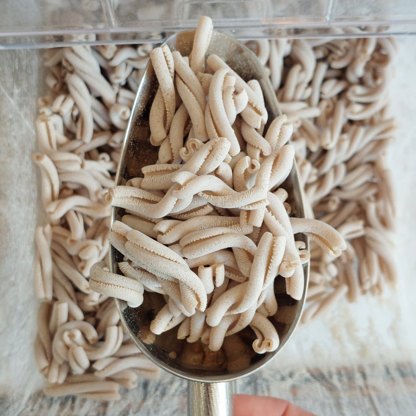 Organic white spelt pasta /250g