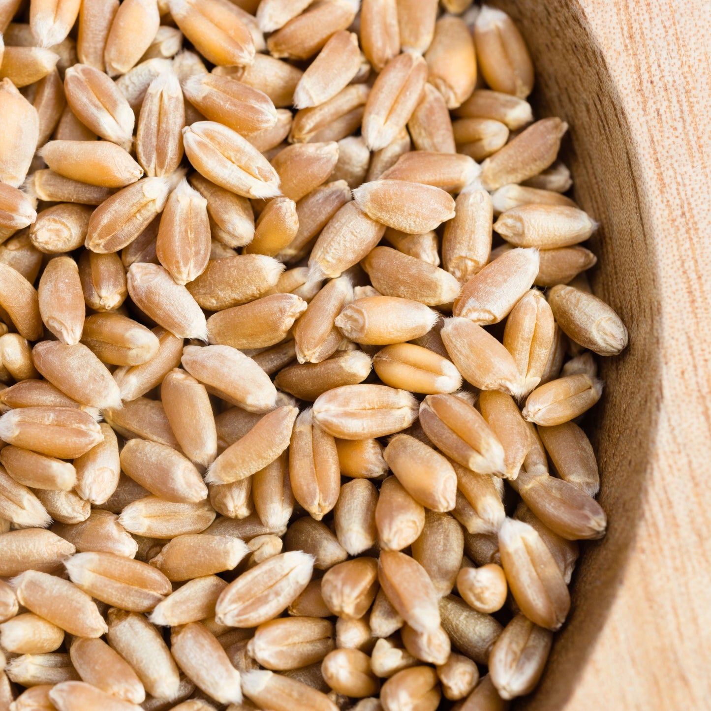 Pearl barley /500g
