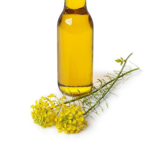 REFILL – Extra virgin rapeseed oil / 500ml
